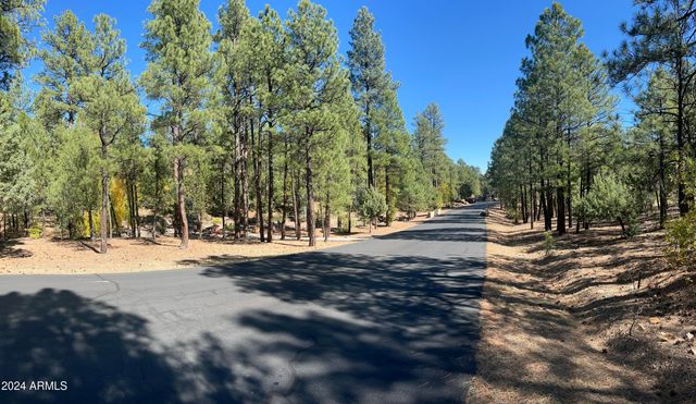 1450 S TIA Circle 78, Show Low, AZ 85901