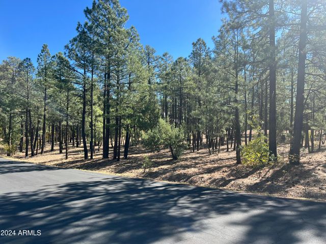 1450 S TIA Circle 78, Show Low, AZ 85901