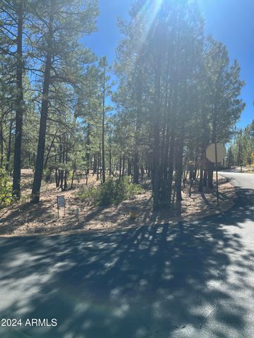 1450 S TIA Circle 78, Show Low, AZ 85901