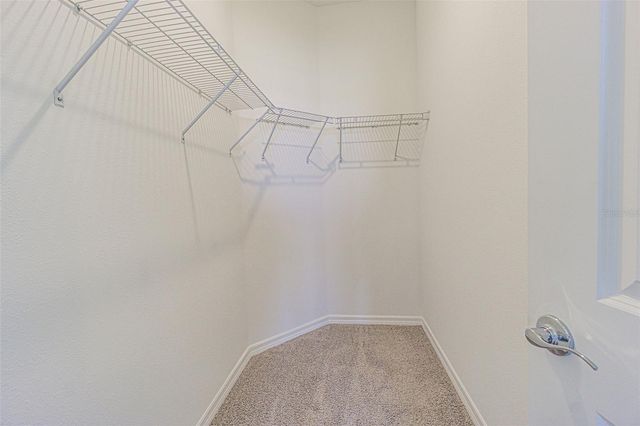 31423 PAPER BIRCH STREET, Wesley Chapel, FL 33545