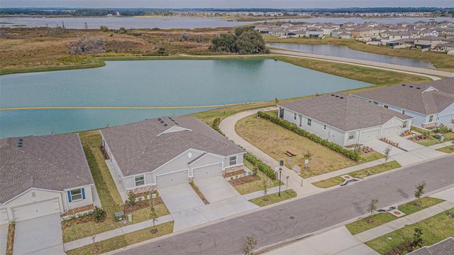 31423 PAPER BIRCH STREET, Wesley Chapel, FL 33545