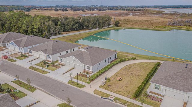 31423 PAPER BIRCH STREET, Wesley Chapel, FL 33545