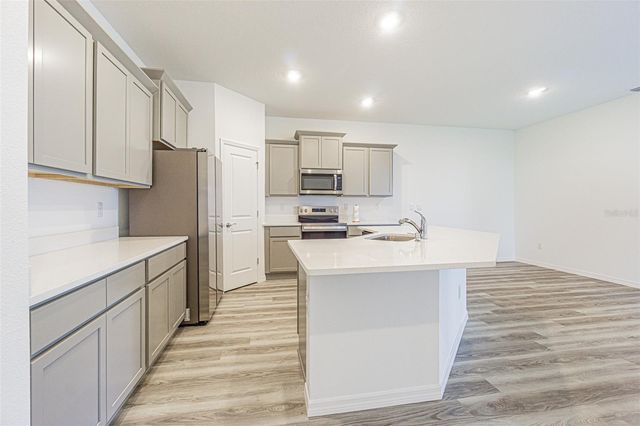 31423 PAPER BIRCH STREET, Wesley Chapel, FL 33545