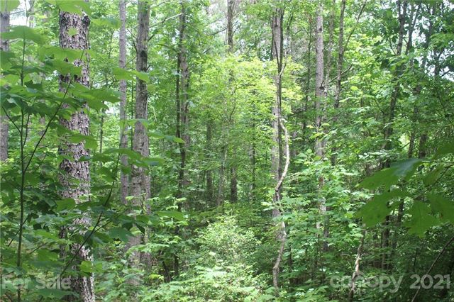 2202 Island View Lane NE 5, Connelly Springs, NC 28612