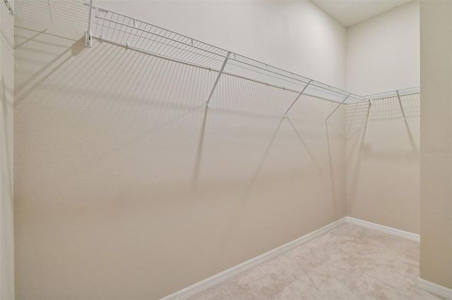 12436 SHINING WILLOW STREET, Riverview, FL 33579