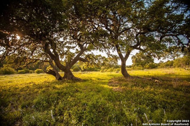 584 Tobacco Pass, New Braunfels, TX 78132