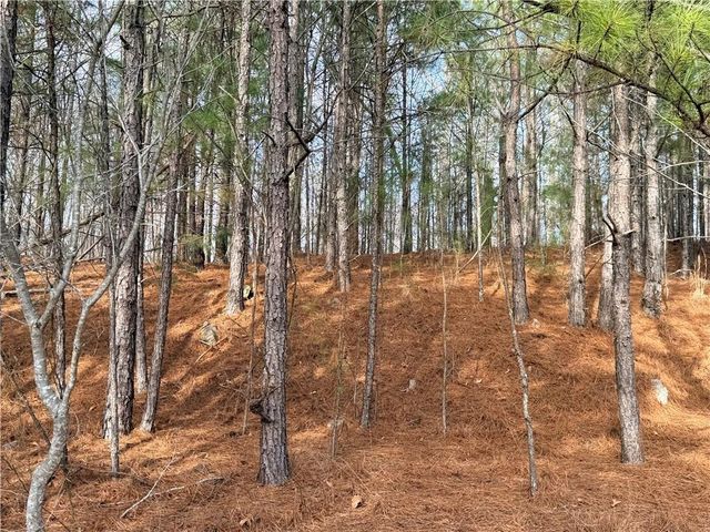 1573 Norris Lake Way, Snellville, GA 30039