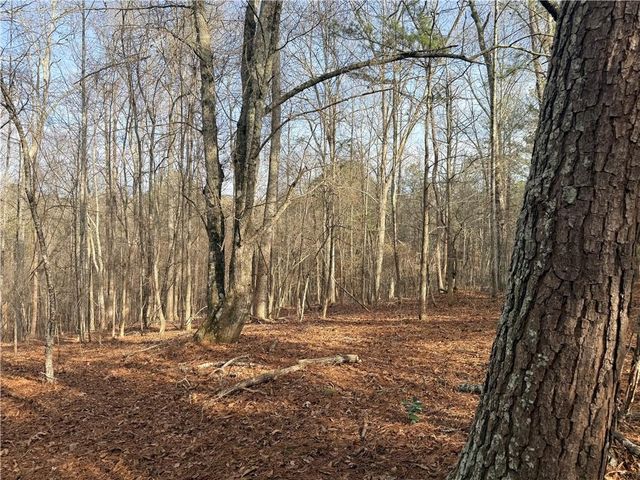 1573 Norris Lake Way, Snellville, GA 30039