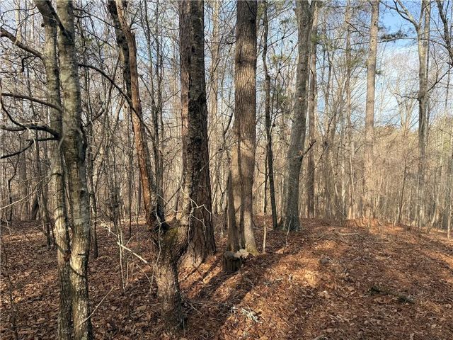 1573 Norris Lake Way, Snellville, GA 30039