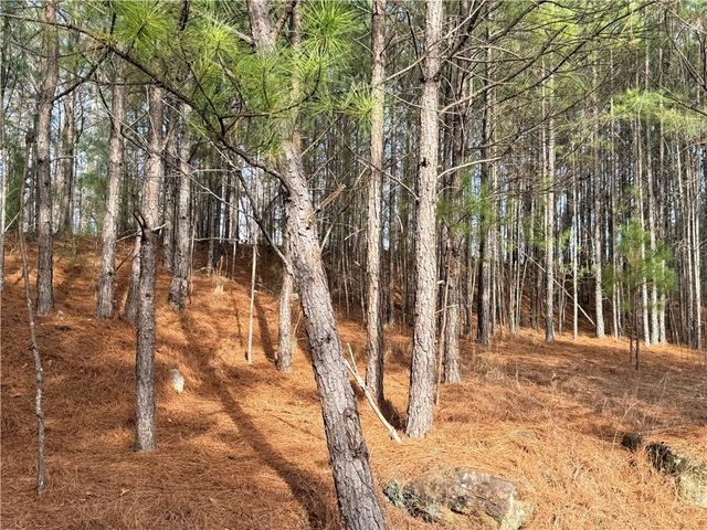 1573 Norris Lake Way, Snellville, GA 30039