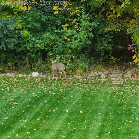 2109 Middle Ridge, Holly Township, MI 48442