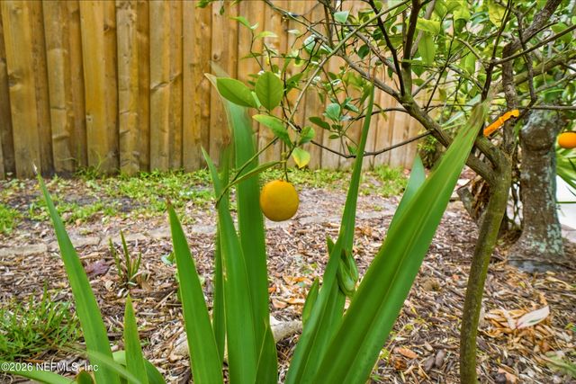 2018 ROSEWOOD Drive, Neptune Beach, FL 32266