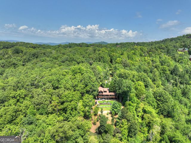 104 Gibbs Trail, Mineral Bluff, GA 30559