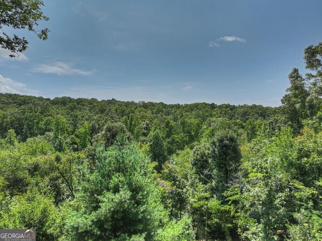 104 Gibbs Trail, Mineral Bluff, GA 30559