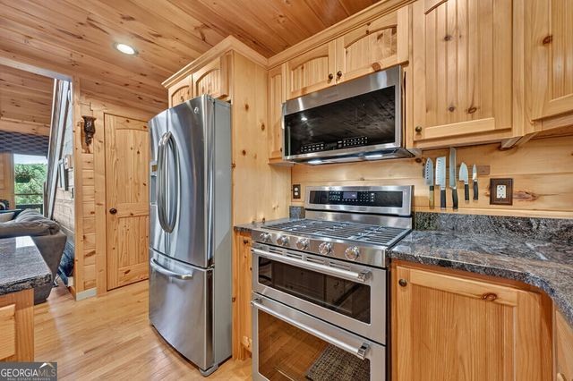 104 Gibbs Trail, Mineral Bluff, GA 30559
