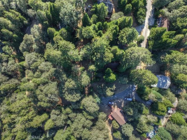 22421 Pine, Cedarpines Park, CA 92322