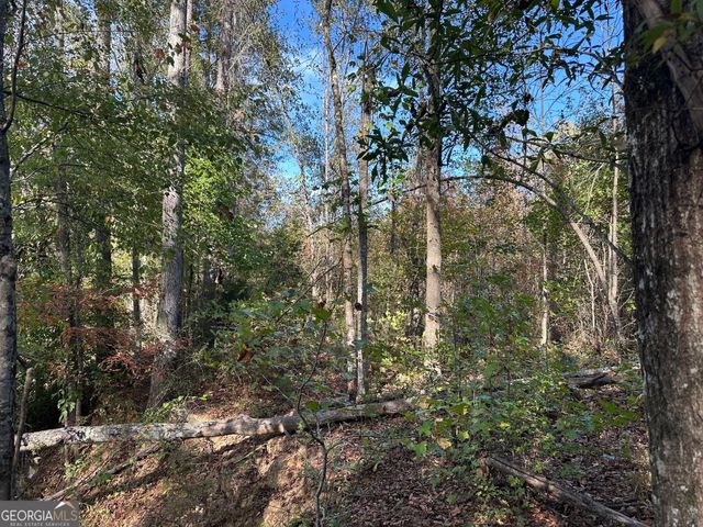 0 Teal Road, South Fulton, GA 30213