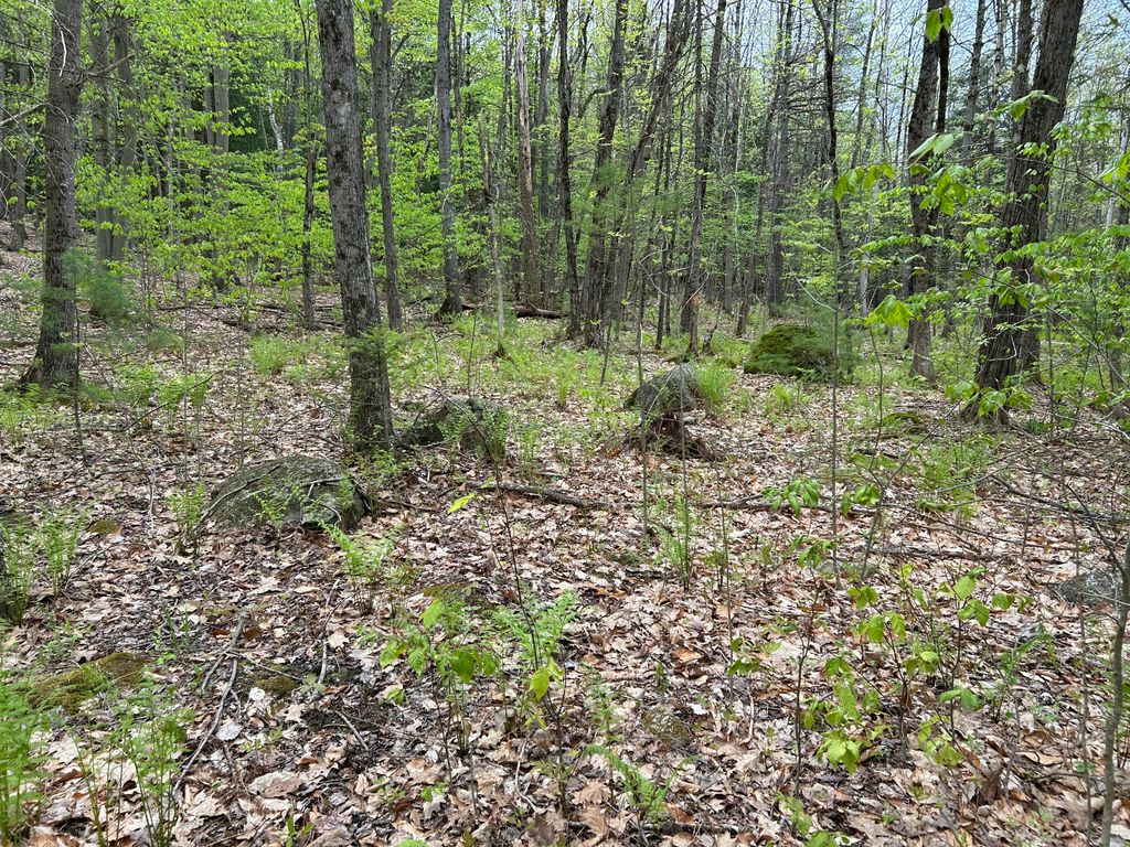 281 Randall Road, Lewiston, ME 04240 — photo 2