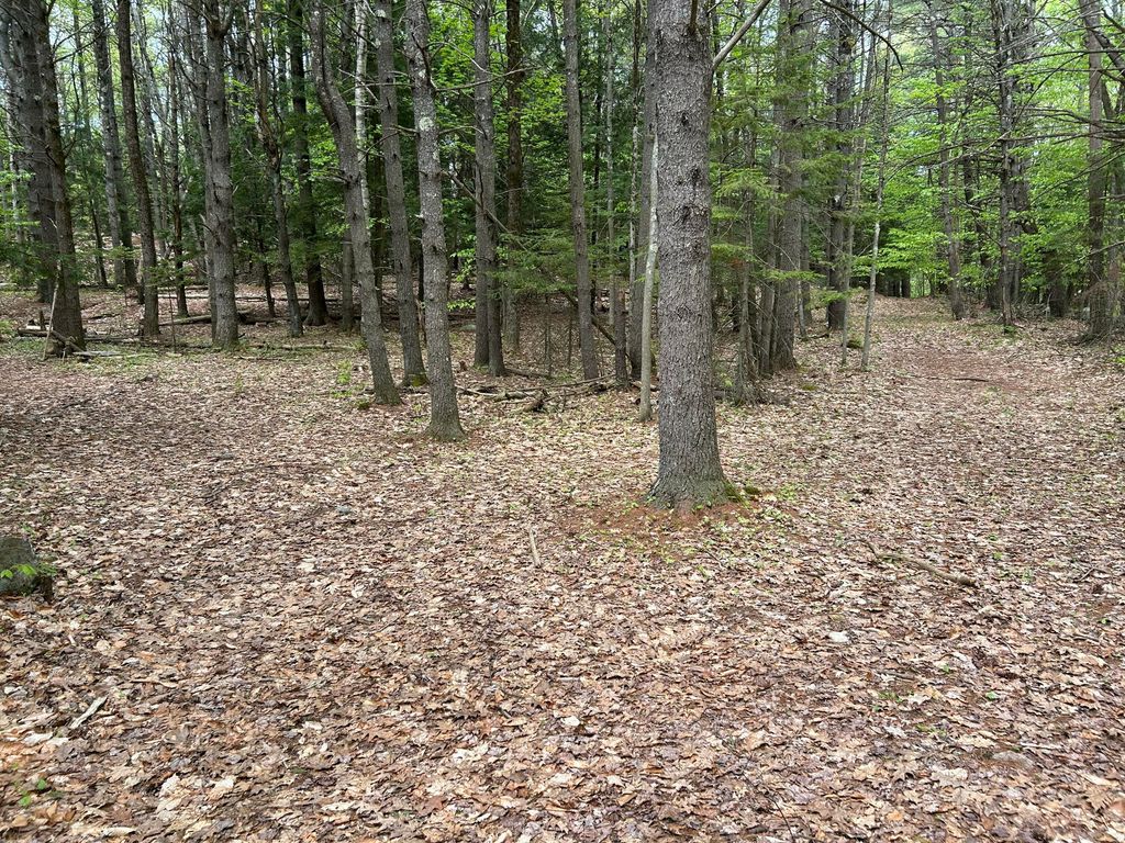 281 Randall Road, Lewiston, ME 04240 — photo 3