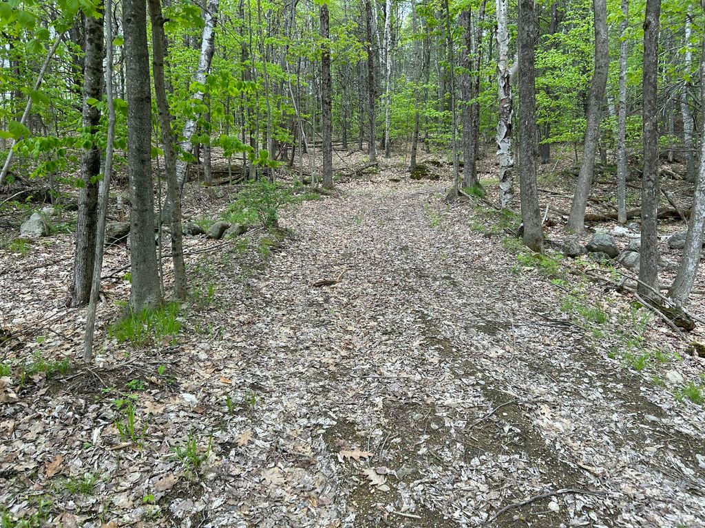 281 Randall Road, Lewiston, ME 04240 — photo 4