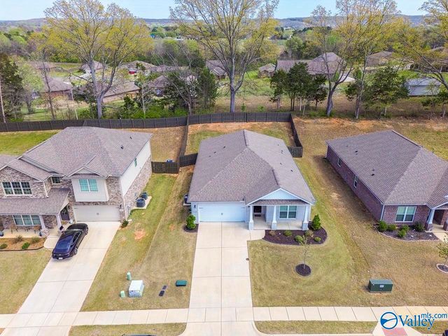 125 River Springs Court, New Market, AL 35761
