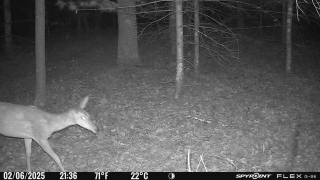 1004 Gem Court, Wisconsin Dells, WI 53965