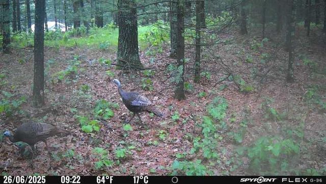 1004 Gem Court, Wisconsin Dells, WI 53965