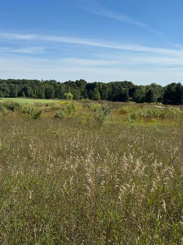 4867 Prestwick Court, Williamsburg, MI 49690