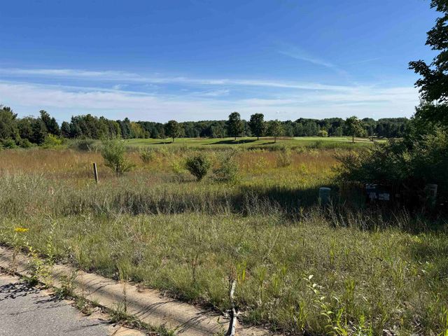 4867 Prestwick Court, Williamsburg, MI 49690