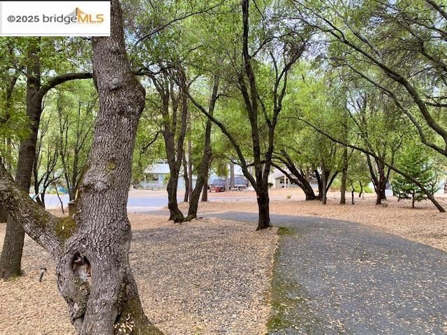 13133 Mohrmann St, Groveland, CA 95321