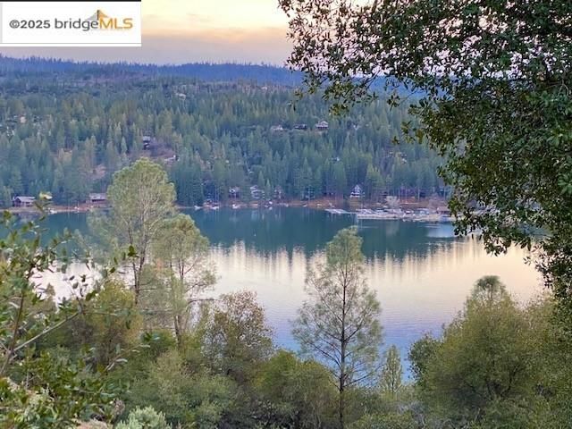 13133 Mohrmann St, Groveland, CA 95321