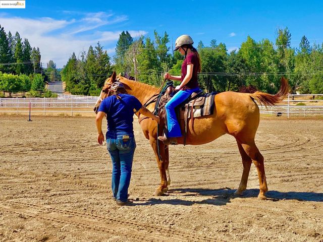 13133 Mohrmann St, Groveland, CA 95321