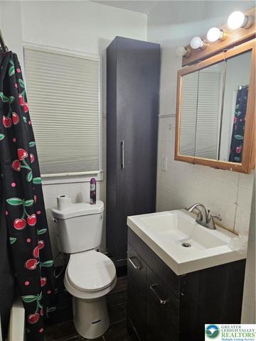 141 Green Street, Allentown City, PA 18102