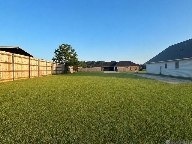 25469 Black Lake Ave, Livingston, LA 70754