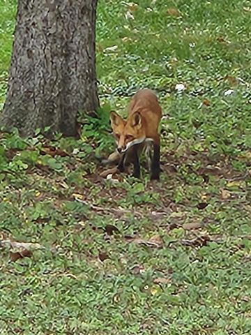 285 S SEYMOUR STREET, Fond Du Lac, WI 54935