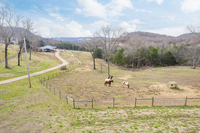 1302 Coosie Branch Rd, Cornersville, TN 37047