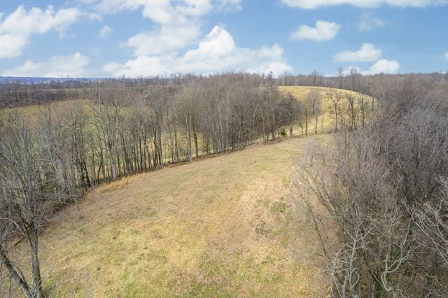 1302 Coosie Branch Rd, Cornersville, TN 37047