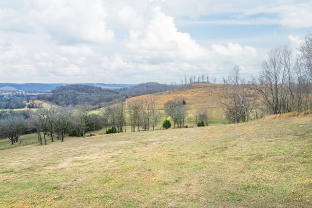 1302 Coosie Branch Rd, Cornersville, TN 37047