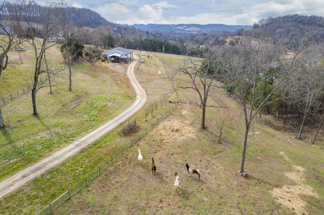 1302 Coosie Branch Rd, Cornersville, TN 37047