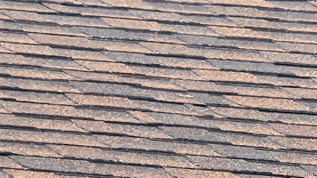 1591 Garfield Avenue, Lincoln Park, MI 48146