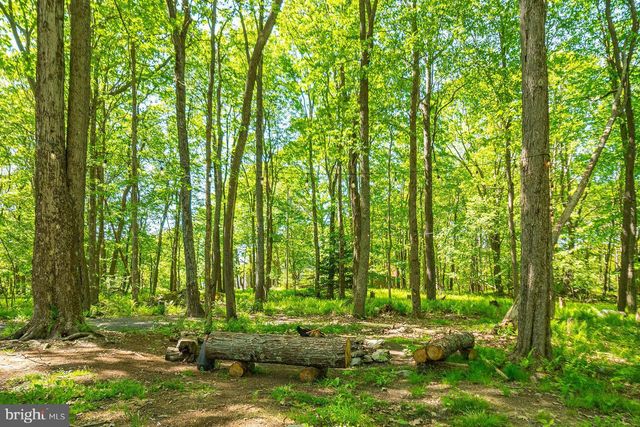 1286 LIMPOPO LN, Mc Henry, MD 21541