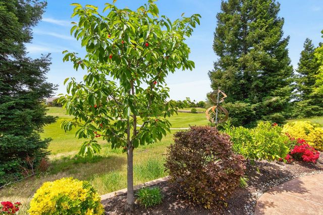1986 Deep Springs Ln, Lincoln, CA 95648