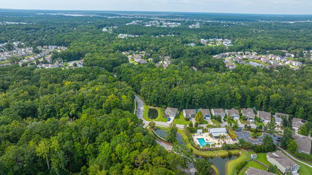 3845 Tupelo Branch Row, Mount Pleasant, SC 29429