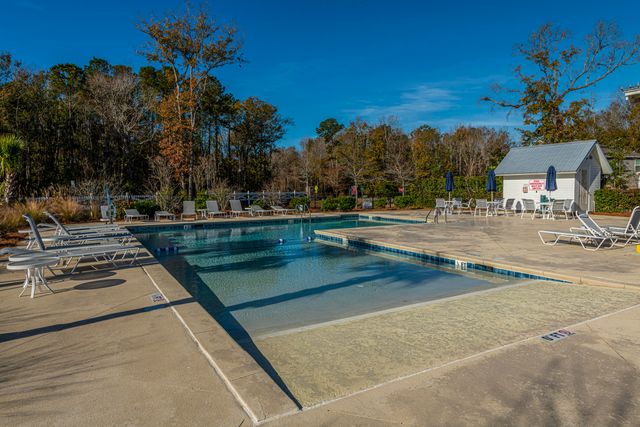 3845 Tupelo Branch Row, Mount Pleasant, SC 29429