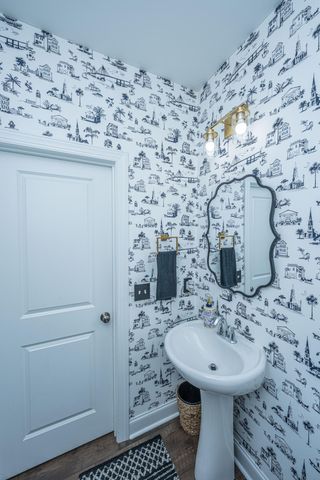 3845 Tupelo Branch Row, Mount Pleasant, SC 29429