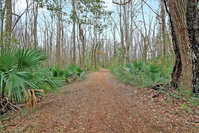 3845 Tupelo Branch Row, Mount Pleasant, SC 29429