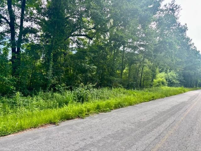 8946 Anderson Road, Adams Run, SC 29426