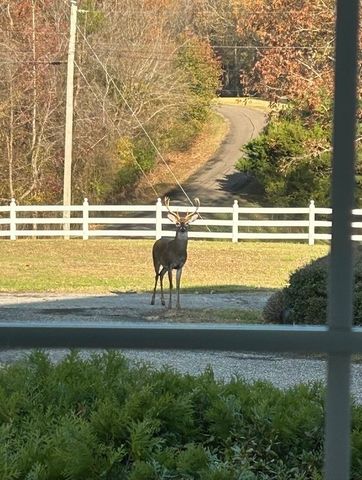 645 Barham Ln, Bolivar, TN 38008