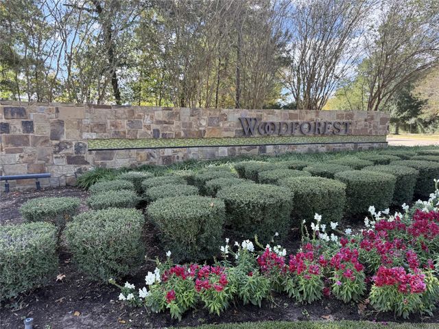 134 Mimosa Silk Court, Montgomery, TX 77316