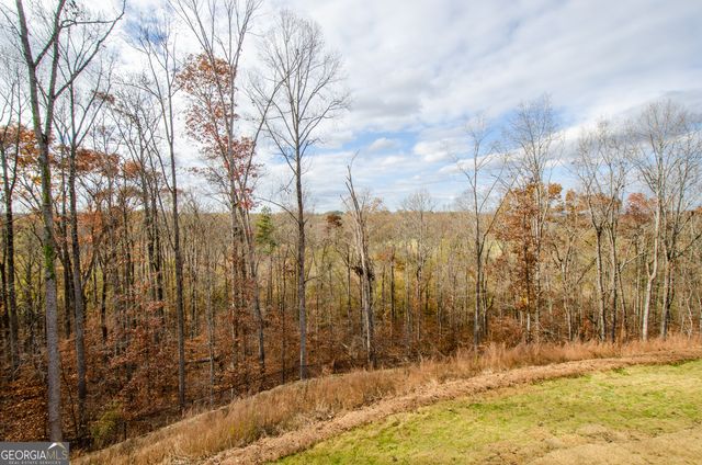 8555 Scenic Ridge Way, Ball Ground, GA 30107